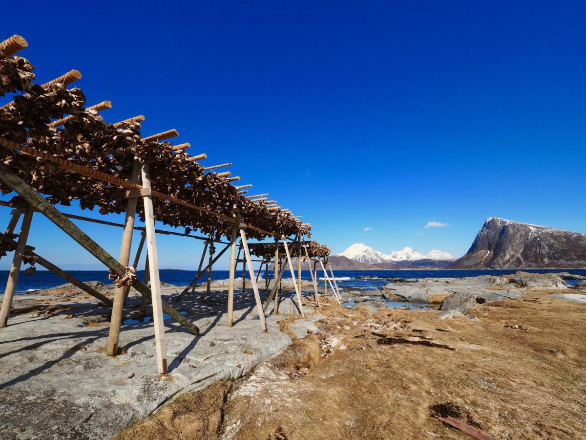 Lofoten Troll Point Bostad Экстерьер фото